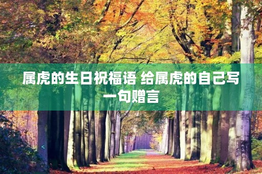 属虎的生日祝福语 给属虎的自己写一句赠言