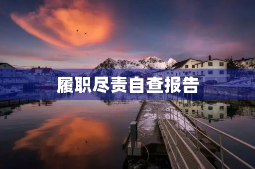 履职尽责自查报告 履职尽责自查报告