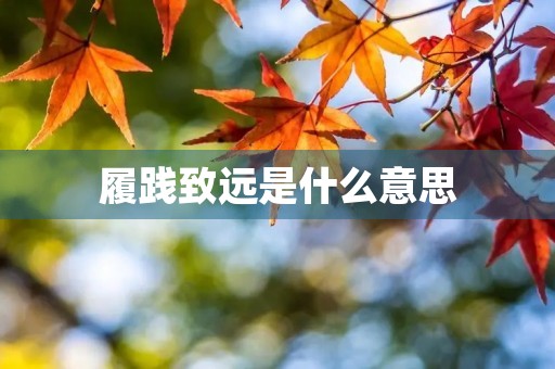 履践致远是什么意思