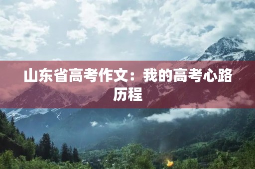 山东省高考作文：我的高考心路历程