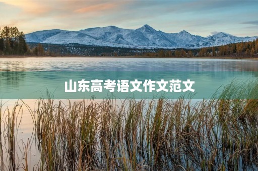 山东高考语文作文范文 山东高考语文作文范文