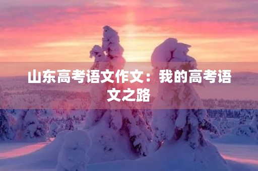 山东高考语文作文：我的高考语文之路