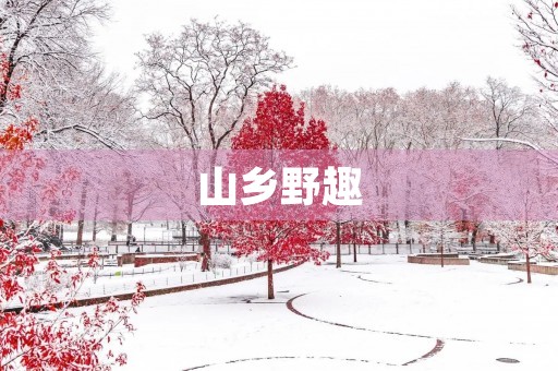 山乡野趣 山乡野趣