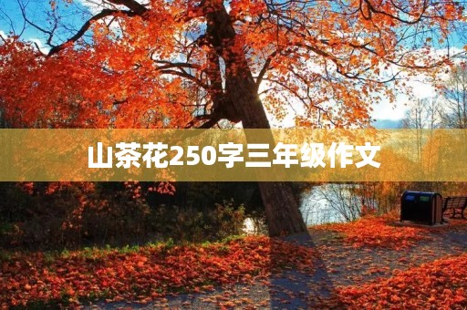 山茶花250字三年级作文