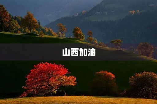 山西加油，让我们共同前行