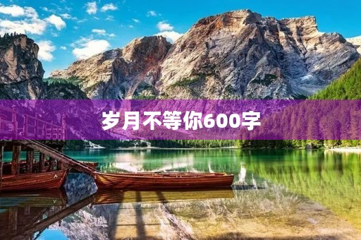 岁月不等你600字