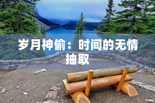 岁月神偷:时间的无情抽取 岁月神偷:时间的无情抽取