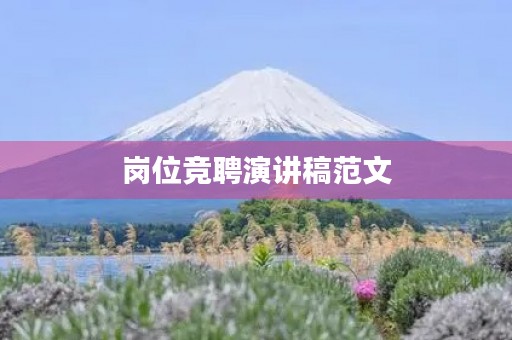 岗位竞聘演讲稿范文 岗位竞聘演讲稿范文