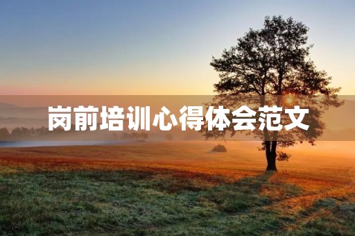 岗前培训心得体会范文