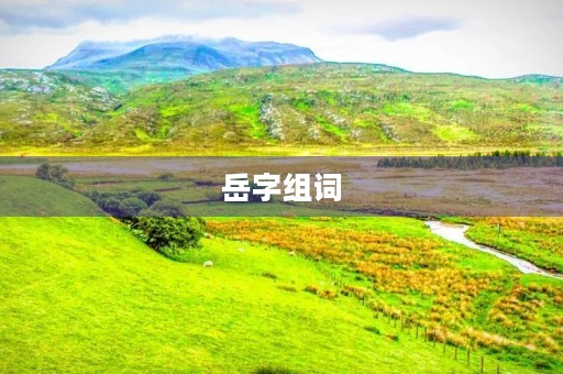 岳字组词(岳的组词)