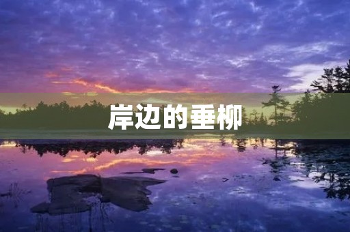 岸边的垂柳(周记三篇) 岸边的垂柳(周记三篇)