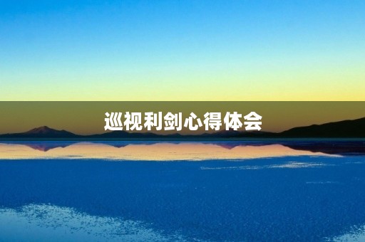 巡视利剑心得体会