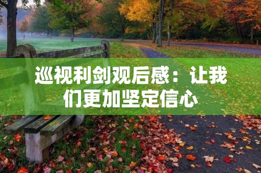巡视利剑观后感：让我们更加坚定信心，更加勇敢前行