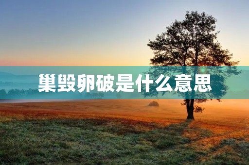 巢毁卵破是什么意思