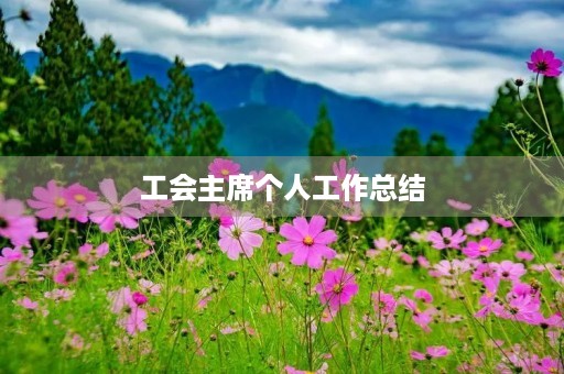 工会主席个人工作总结