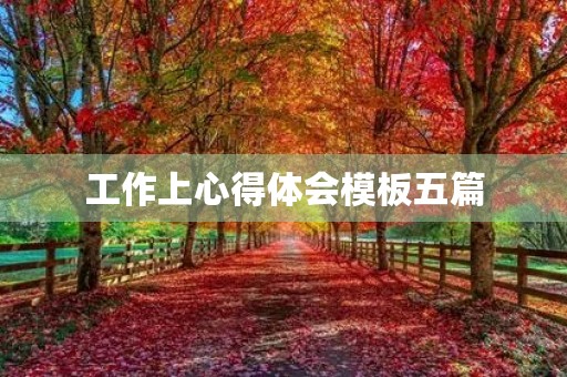工作上心得体会模板五篇