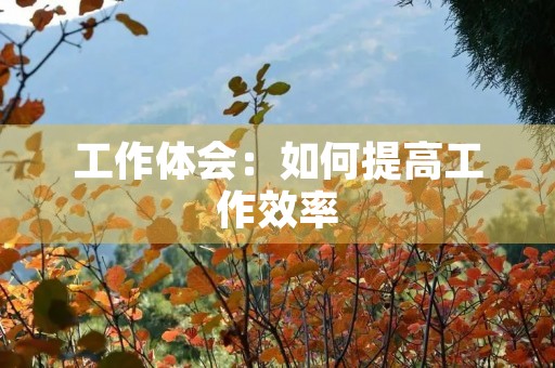 工作体会:如何提高工作效率 工作体会:如何提高工作效率