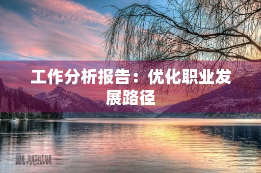 工作分析报告：优化职业发展路径