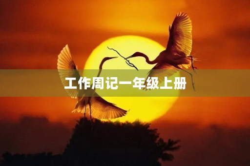 工作周记一年级上册