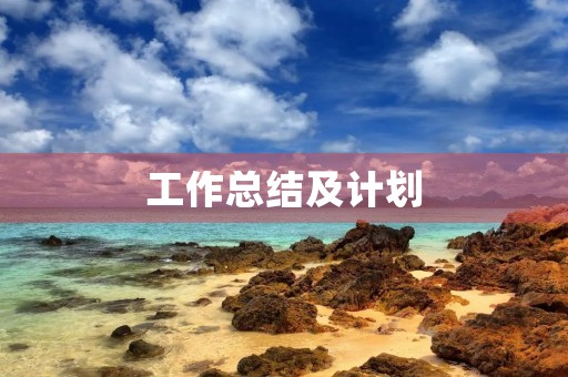 工作总结及计划 工作总结及计划
