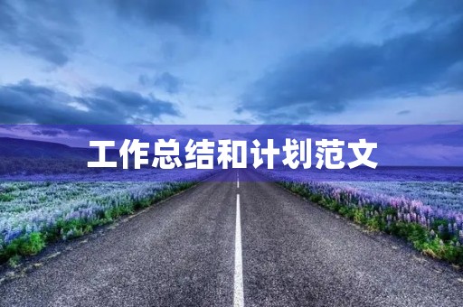 工作总结和计划范文