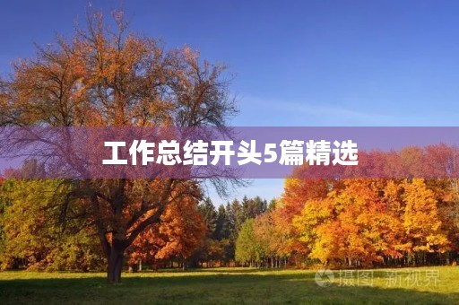 工作总结开头5篇精选