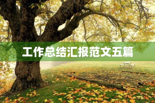 工作总结汇报范文五篇
