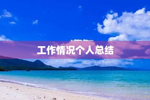 工作情况个人总结