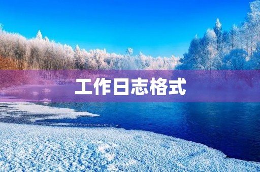 工作日志格式 工作日志格式