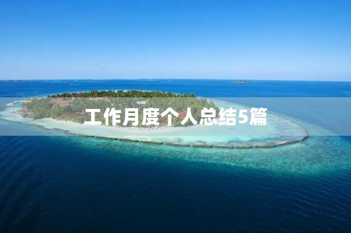 工作月度个人总结5篇