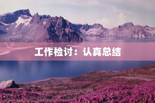 工作检讨：认真总结，积极改进