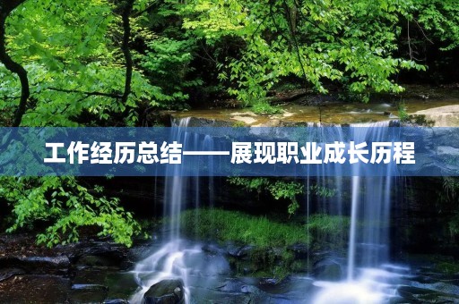 工作经历总结——展现职业成长历程