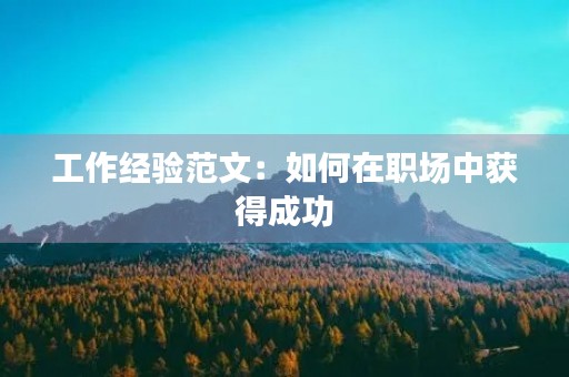 工作经验范文：如何在职场中获得成功