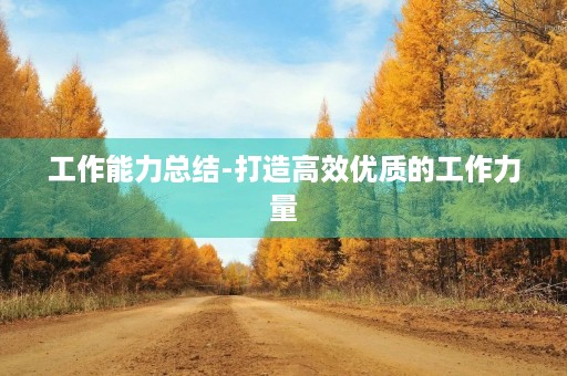 工作能力总结-打造高效优质的工作力量