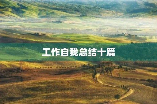 工作自我总结十篇