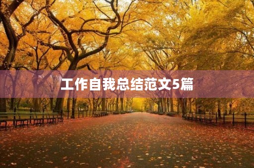 工作自我总结范文5篇