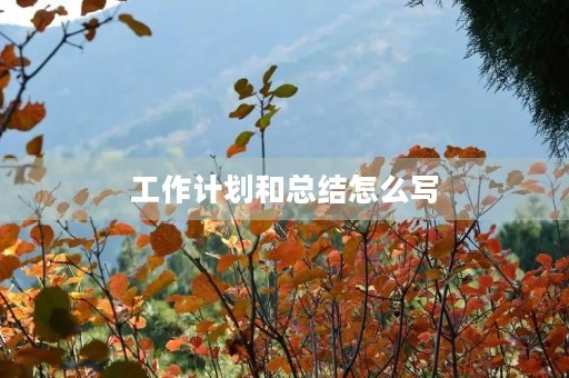 工作计划和总结怎么写 工作计划和总结怎么写