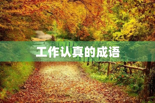 工作认真的成语 工作认真的成语