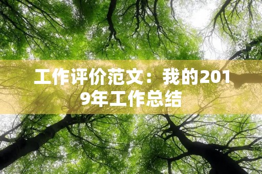 工作评价范文:我的2019年工作总结 工作评价范文:我的2019年工作总结