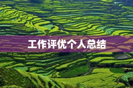工作评优个人总结