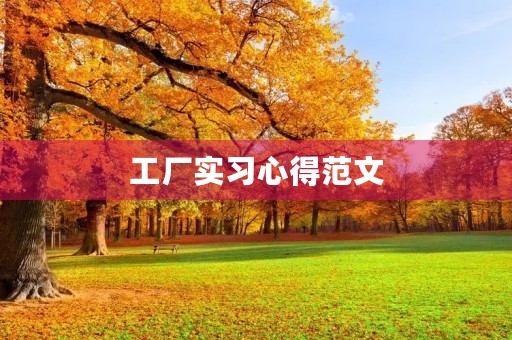 工厂实习心得范文