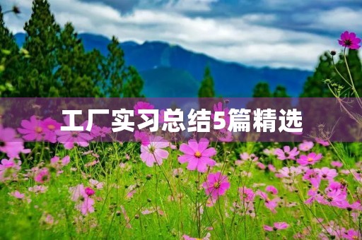 工厂实习总结5篇精选