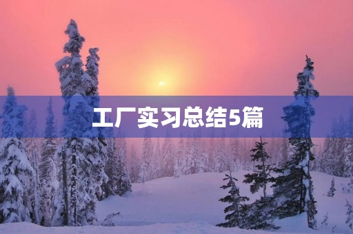 工厂实习总结5篇