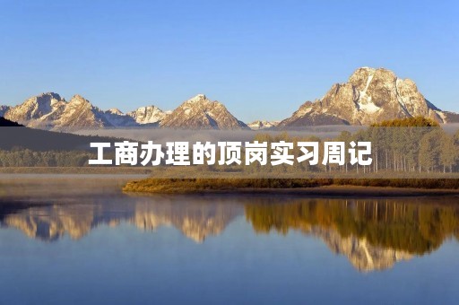 工商办理的顶岗实习周记