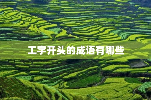工字开头的成语有哪些