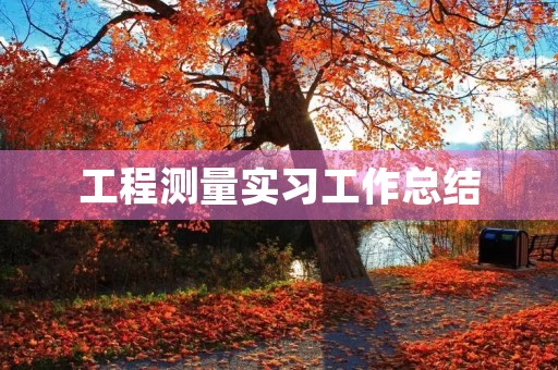 工程测量实习工作总结