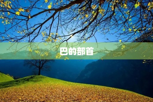 巴的部首(巴) 巴的部首(巴)