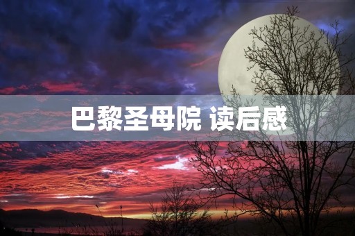 巴黎圣母院 读后感