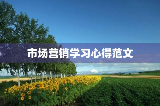 市场营销学习心得范文 市场营销学习心得范文