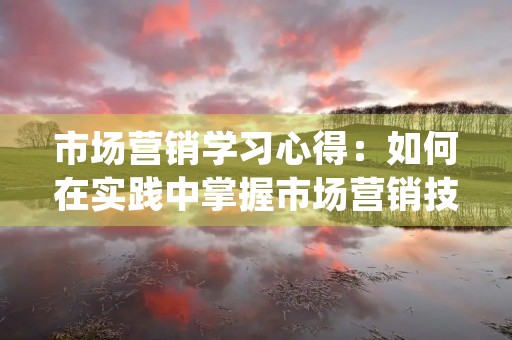 市场营销学习心得:如何在实践中掌握市场营销技能